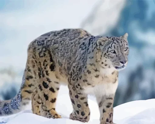 Snow Leopard Diamond Painting