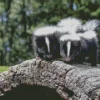 Striped Skunks Diamond Painting