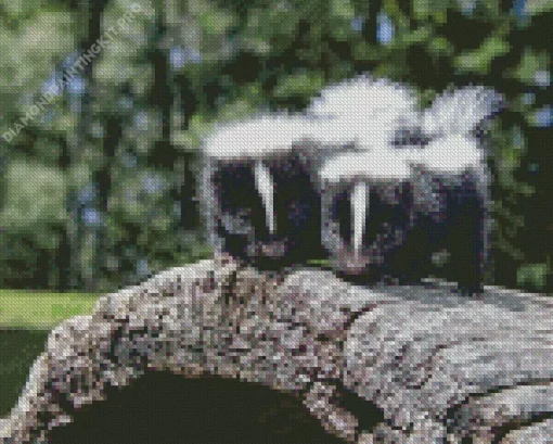 Striped Skunks Diamond Painting
