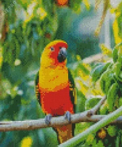 Sun Conure Bird Diamond Painting