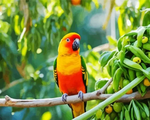Sun Conure Bird Diamond Painting