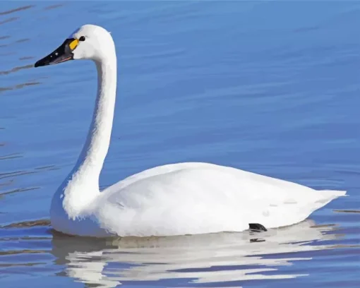 Tundra Swan Diamond Painting