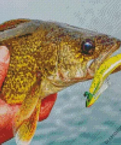 Walleye Fish Diamond Painting