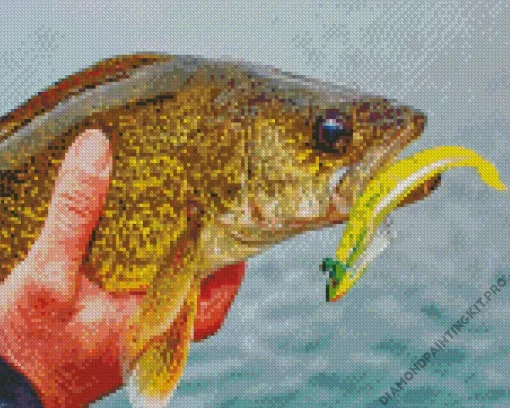 Walleye Fish Diamond Painting