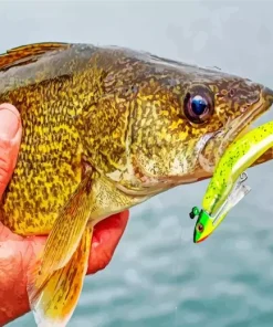 Walleye Fish Diamond Painting