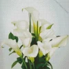 White Calla Lilies Diamond Painting
