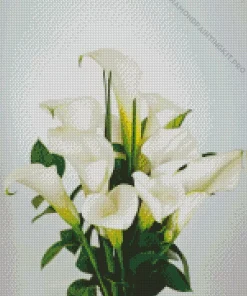 White Calla Lilies Diamond Painting