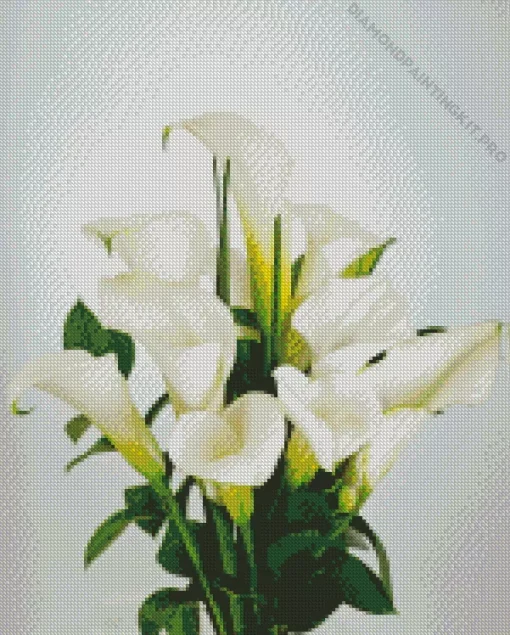 White Calla Lilies Diamond Painting