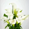 White Calla Lilies Diamond Painting