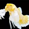 Yellow Betta Fish Diamond Painting
