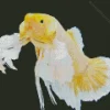 Yellow Betta Fish Diamond Painting
