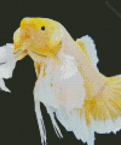 Yellow Betta Fish Diamond Painting