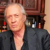 David Carradine Diamond Painting