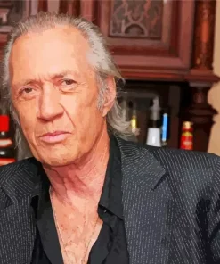 David Carradine Diamond Painting