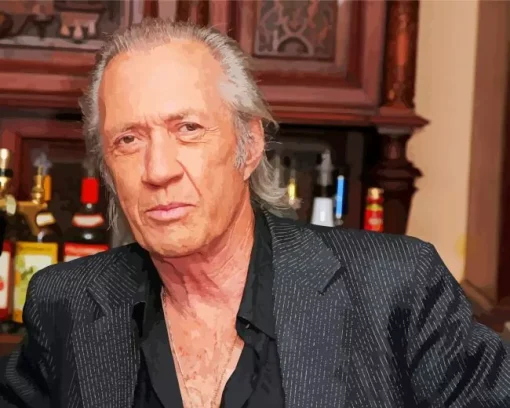 David Carradine Diamond Painting