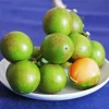 Spanish Lime Diamond Painting