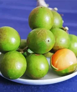 Spanish Lime Diamond Painting