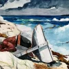 After The Hurricane By Homer Diamond Painting