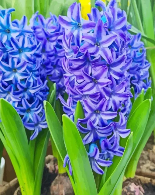 Blue Hyacinth Flowers Diamond Painting