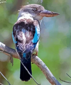 Blue Winged Kookaburra Bird Diamond Painting