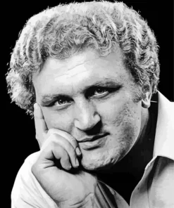Boxer Joe Bugner Diamond Painting