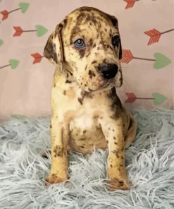 Brindle Dane Puppy Diamond Painting