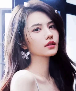 Jiang Peiyao Diamond Painting