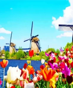 Kinderdijk Tulips Diamond Painting