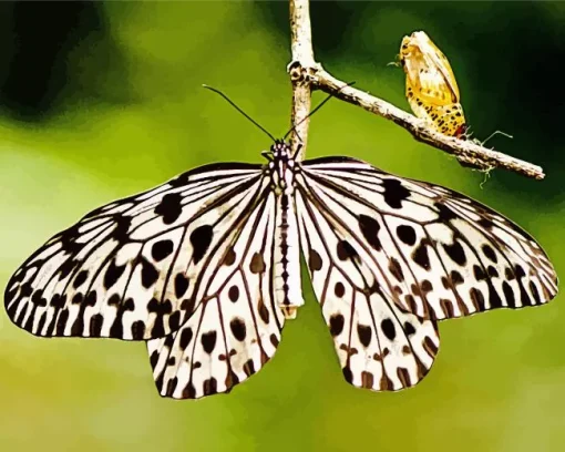 Large Tree Nymph Diamond Painting