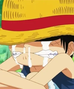 Luffy Crying Diamond Painting
