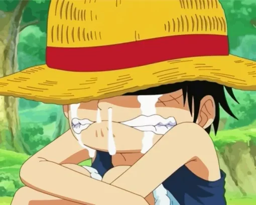Luffy Crying Diamond Painting