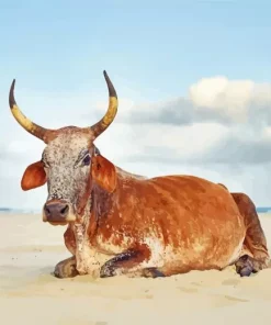 Nguni Cattle Diamond Painting