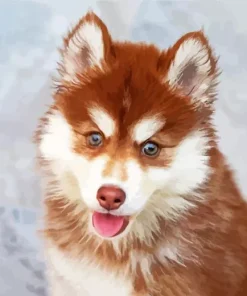 Brown Husky Diamond Painting