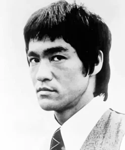 Black And White Bruce Lee Diamond Painting