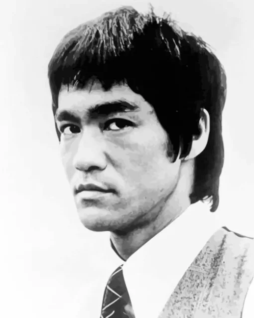 Black And White Bruce Lee Diamond Painting