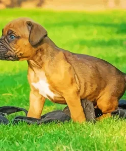 Brown Boxer Puppy Diamond Painting