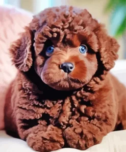 Brown Fluffy Poodle Diamond Painting