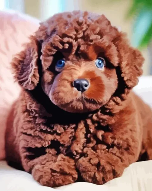 Brown Fluffy Poodle Diamond Painting