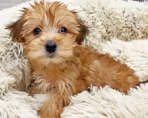 Brown Morkie Diamond Painting