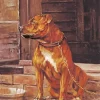 Brown Stafford Dog Art Diamond Painting