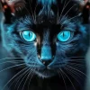 Cool Black Cat Blue Eyes Art Diamond Painting