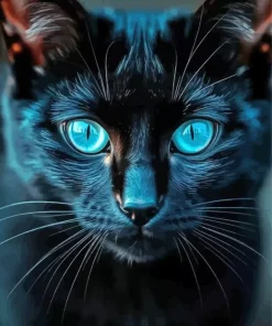 Cool Black Cat Blue Eyes Art Diamond Painting