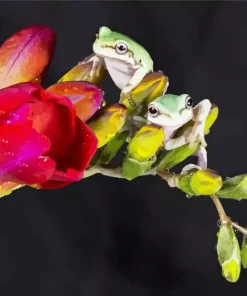 Frog In Flower Diamond Painting