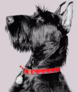 Giant Schnauzer Dog Diamond Painting