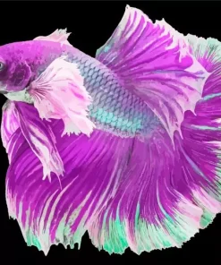 Lavender Betta Fish Diamond Painting