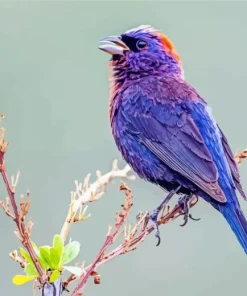 Lavender Bird Diamond Painting