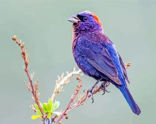 Lavender Bird Diamond Painting
