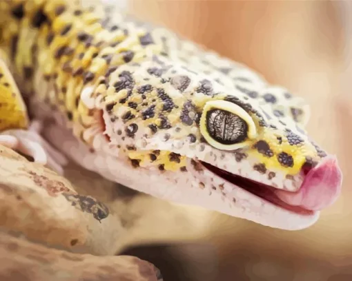 Leopard Gecko Diamond Painting