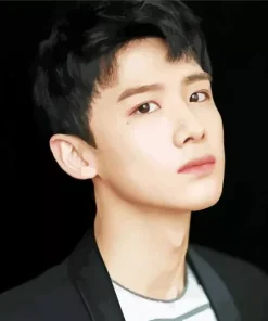 Bai Jingting Diamond Painting