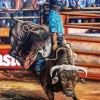 Bull Rider Art Diamond Painting
